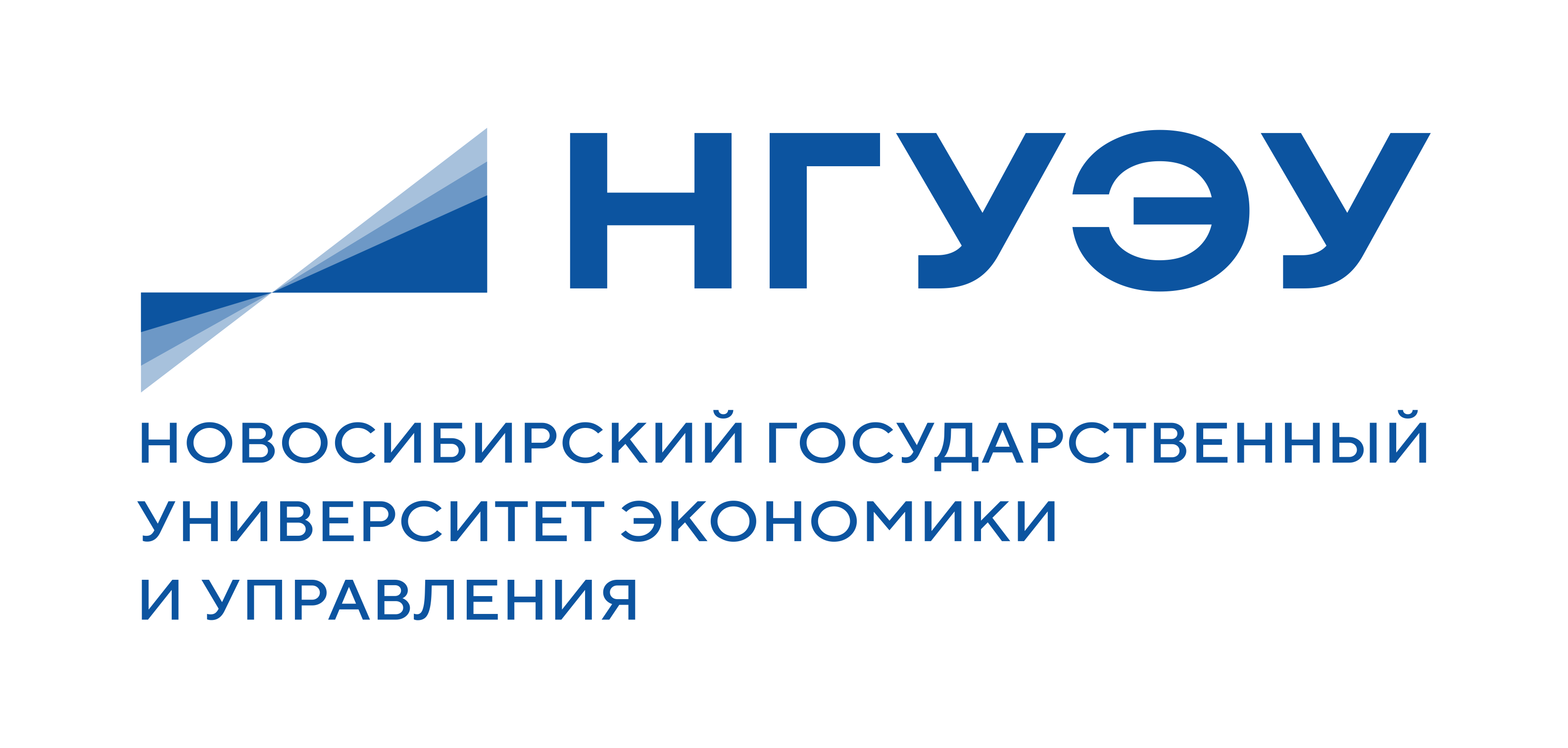 Логотип: НГУЭУ