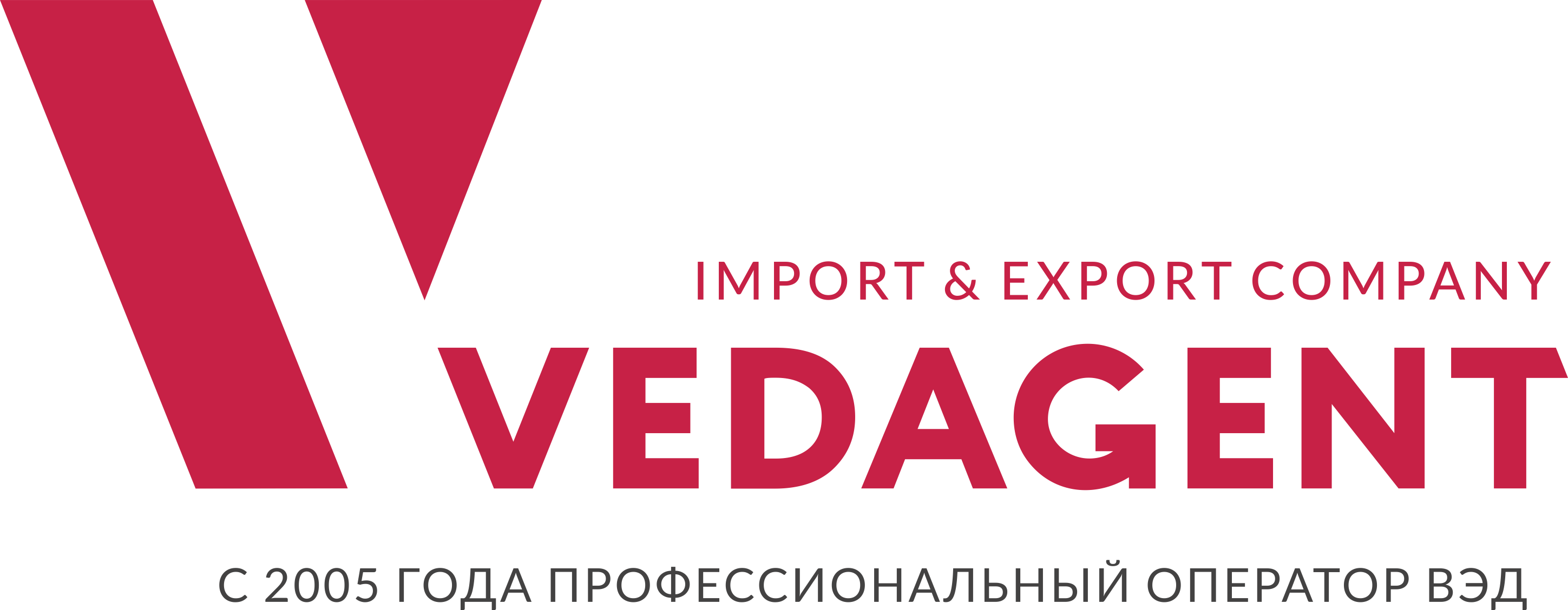 Логотип: ВЭД Агент